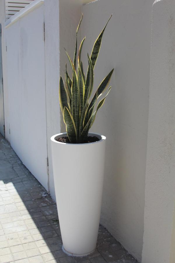 Don Francisco Rooms - Tropea Exterior photo